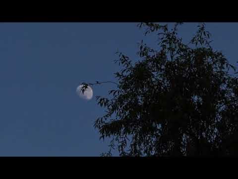 Seeing two moons in the Sky 15-06-2024 - Second moon