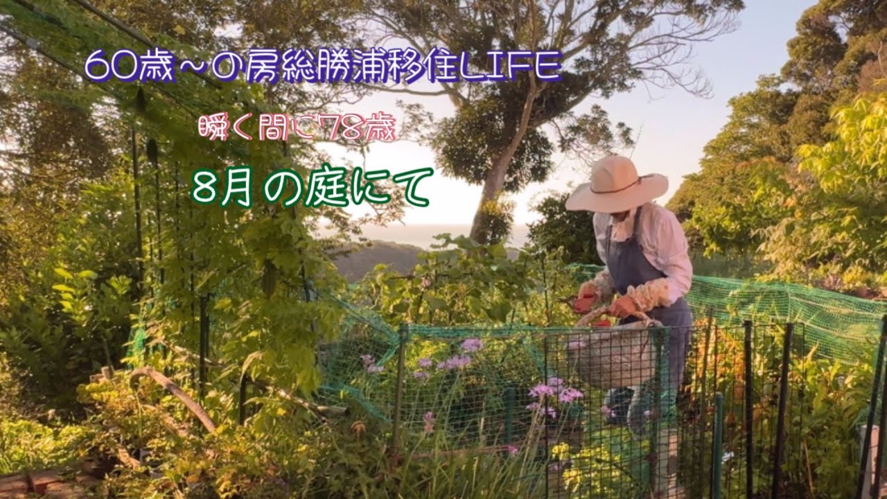 💚収穫が嬉しい夏☀️#房総勝浦移住Life #78歳のmemory