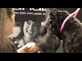 Pet Trim Giant Schnauzer Head Part 1