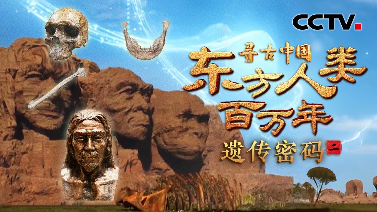 继“北京人”之后，周口店遗址又发现了哪些东方古人类？他们会是我们的祖先吗？《东方人类百万年·遗传密码》| CCTV「寻古中国」20250531