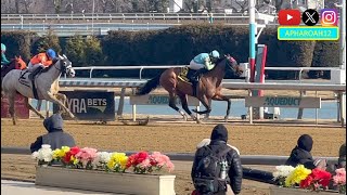 New York's Winter Racetrack: Aqueduct Track Profile