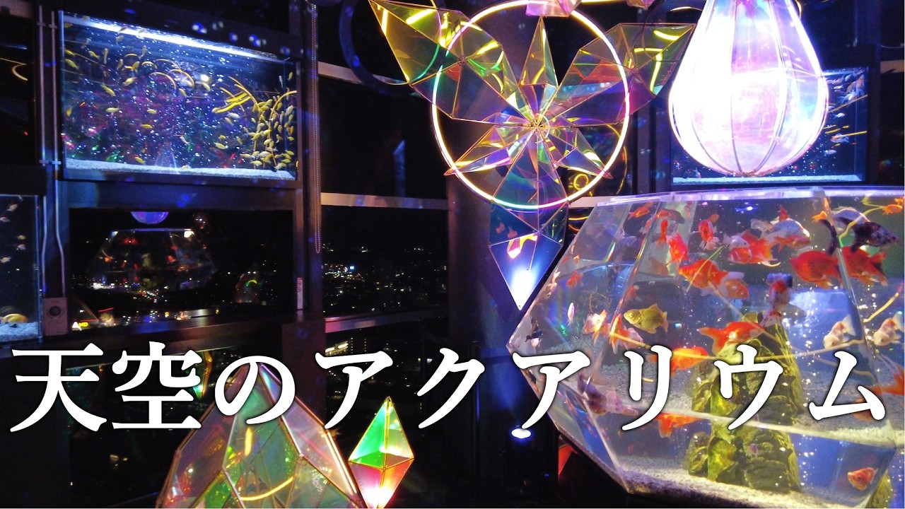 ゴールドタワー】天空のアクアリウム 夜の幻想的な世界 - YouTube ゴールドタワー】天空のアクアリウム 夜の幻想的な世界 - YouTube
