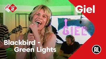 Blackbird - Green Lights | NPO Radio 2