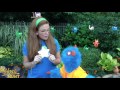 Beginning of video
