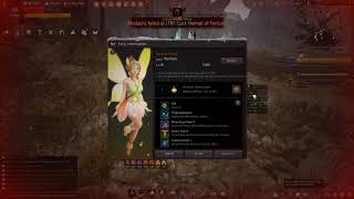BDO member Guild pirates vs master Guild  nesserath with Guild pen_fenster