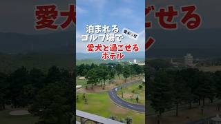 ココパリゾートクラブ白山 #午後のグルメ #グルメ女子 #vlog #ゴルフ #ゴルフ女子 #愛犬と泊まれる宿 #愛犬家 #ココパリゾート