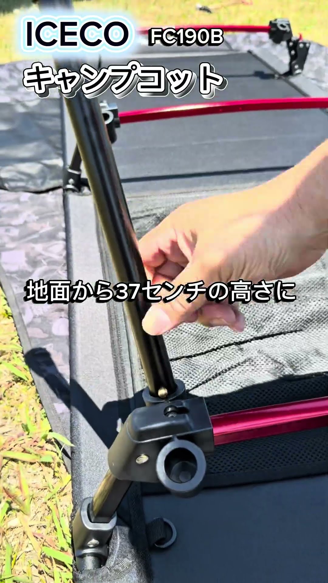ICECO】キャンプコットFC190Bのご紹介になります #キャンプ #iceco