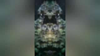 Mars Times, Mirror Effect Welcoming.