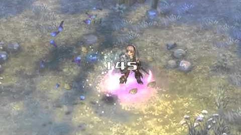 Tree of Savior - Swordsman Skill - Gung Ho