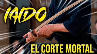 ☯️Qué es EL IAIDO? - el ARTE MARCIAL de desenvainar la ESPADA