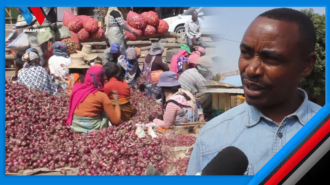 BEI YA VITUNGUU NI MPOTEANO, YAPOROMOKA KUTOKA LAKI 4 HADI ELFU 50, WAKULIMA WAILILIA SERIKALI