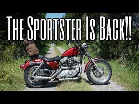 The Return Of The Sportster! Plus Harley Shop Tour & Some Harleys For Sale