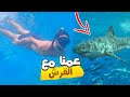  4    عمنا مع القرش في أجمل الجزر فالعالم