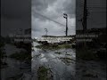 Dia 7 sem memória em 2050. Após ler o documento e ver várias vezes a mesma data eu sigo a avenida