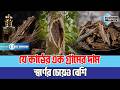 যে কাঠের এক গ্রামের দাম স্বর্ণের চেয়েও বেশি | LuxuryWood | ExpensiveWood | Business Mirror