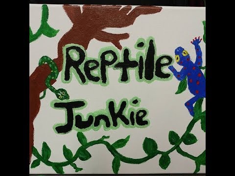 reptile care app Unboxing some new Snakes !