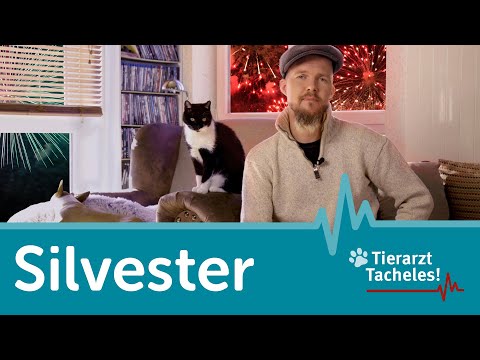 Die Silvesternacht | Tierarzt Tacheles mit Sebastian Goßmann-Jonigkeit | ZooRoyal