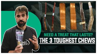 Need a tough treat for a tough chewing dog? Here are the top 3!
