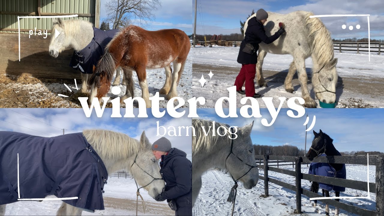 A Cold Winter Day at the Barn | Barn Vlog - YouTube