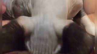 IMG 6391 1