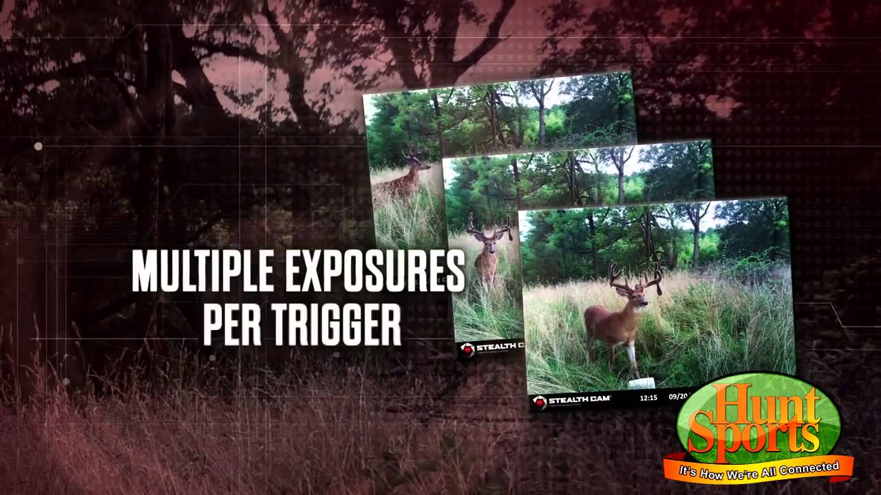 2014 Deer Scouting Camera Testing Lineup Best Trail Cams Night Vision