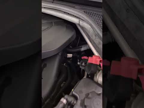 Is this normal or needs a new timing chain to fix the noise ? #bmw #x5 #n47t