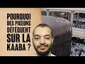 Pourquoi allah laisse des oiseaux dfquer sur la kaaba  17