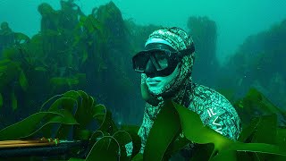 Spearfishing my FIRST FISH of the Season (Fish and Chips CATCH AND COOK)