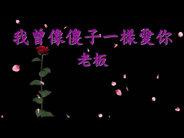 好聽💯我曾像傻子一樣愛你(老板)演唱🍃KTV導唱字幕