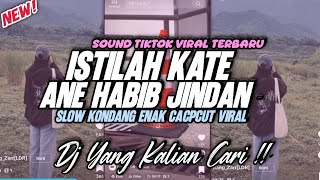 DJ ISTILAH KATE ISTRI ANE LEBIH MANIS | ANE HABIB JINDAN REMIX FULLBASS TIKTOK TERBARU 2025 