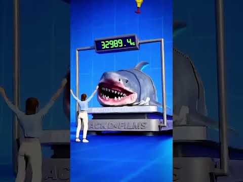 Shark AI video