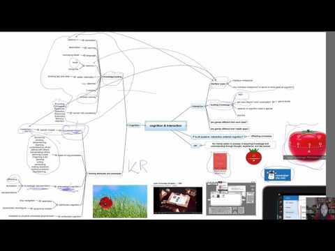 Overview Interaction And Cognition (2213) HCI