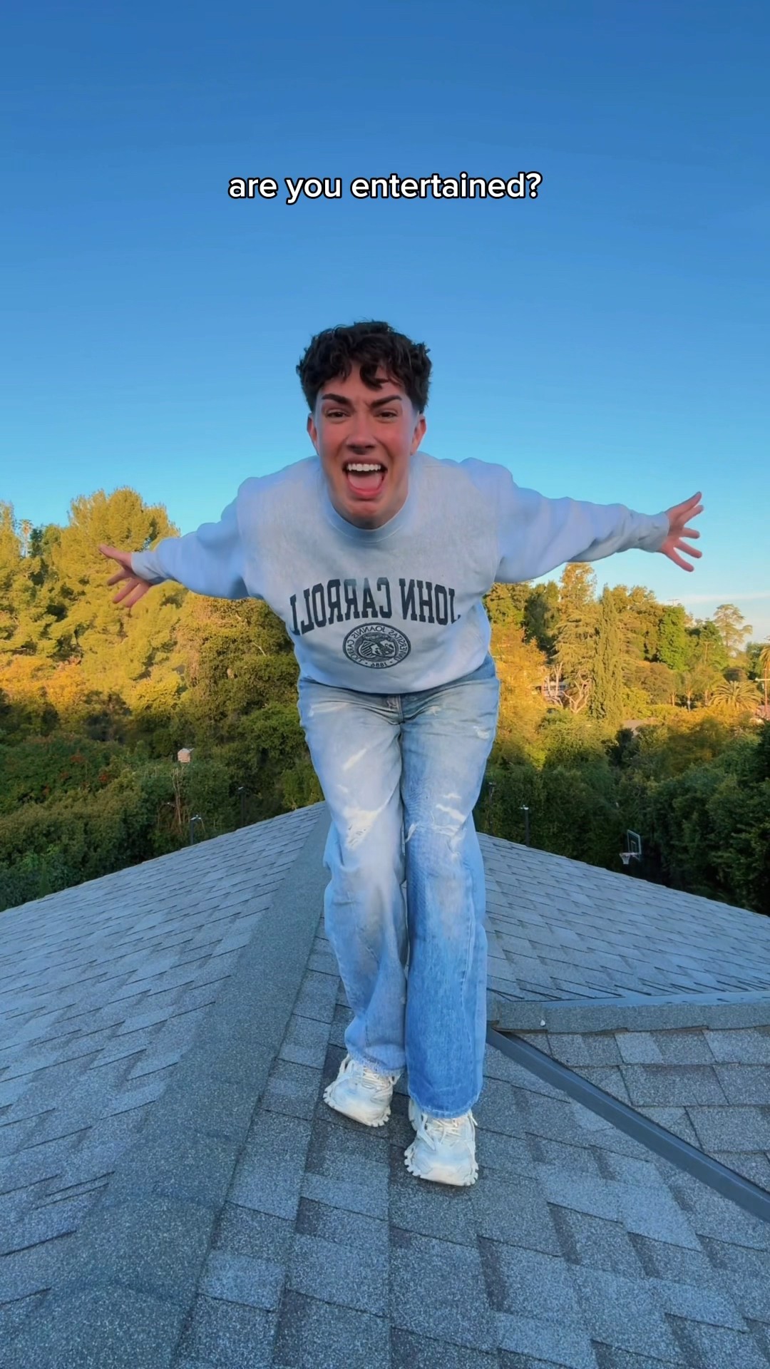 I CLIMBED ONTO MY ROOF FOR THIS