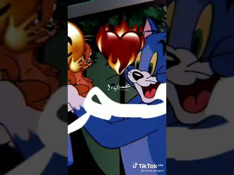 وجودك جمبى والله يا صحبى مطمنى ڤيديوهات تيك توك