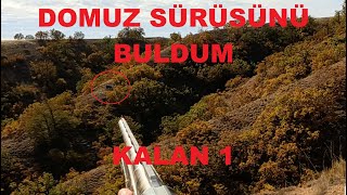 Domuz Sürünü İz Takibiyle Buldum. Uzak Mesafe Vuruş. Wild Boar Hunting. Öpek