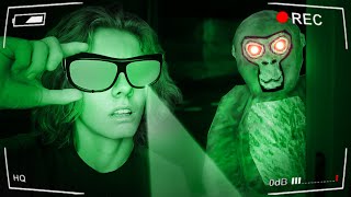 Does NIGHT VISION Work in Gorilla Tag? by CJ VR 22,481 views 1 month ago 9 minutes, 8 seconds