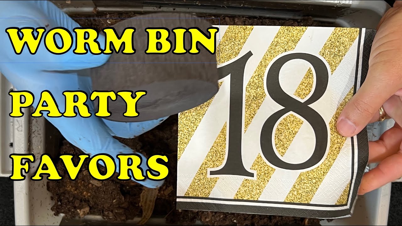 18 Days Since Last Worm Bin Feeding + Adding Party Favor Bedding | Vermicompost Worm Farm
