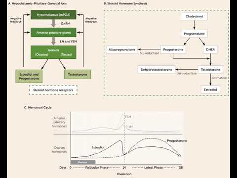 August 2020 Hormonal Treatments for Major Depressive Disorder by PsychiatryOnline