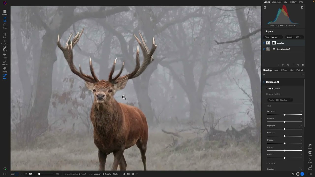 Master Masking in ON1 Photo RAW – Super Select, AI Masking, Sky Swap Tips, and Compositing!