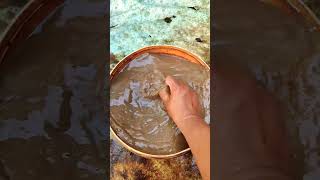 The Day I Couldn’t Hold It In #shorts #feedshorts #subscribe