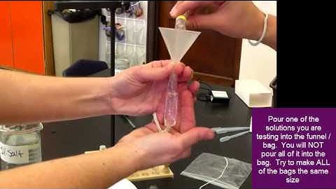 How To Set Up the Diffusion Lab - Cell Unit (7:07)