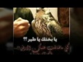 ياطير طاير عليه ولفي الي ماله جياه 