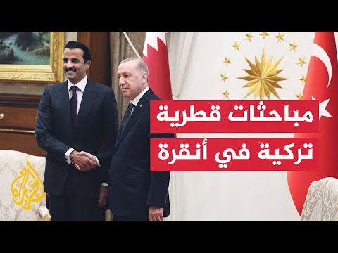 أمير دولة قطر يبحث في أنقرة مع الرئيس التركي الحرب على غزة ولبنان