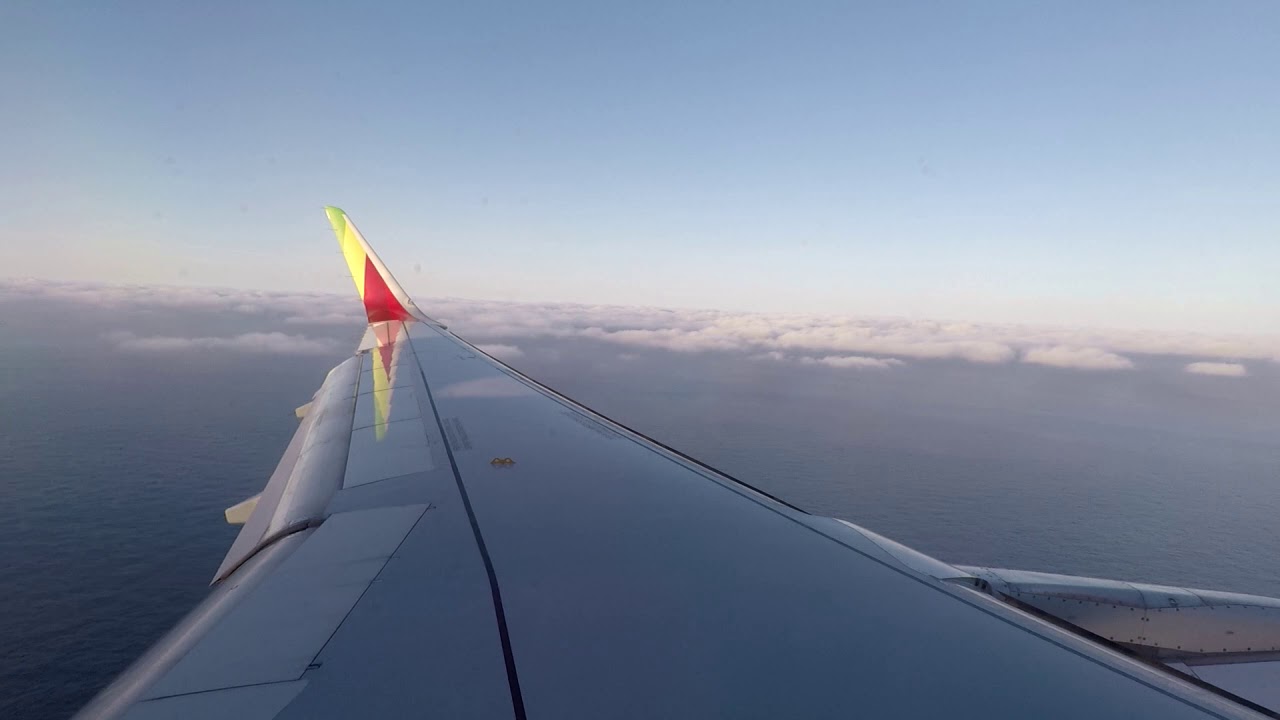 Most beautiful TAP A230 landing in Terceira, Azores !