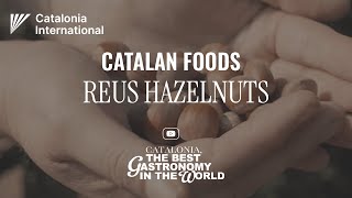 Catalan Foods Reus Hazelnuts