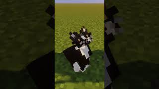 das 'better cats' Texurepack #shorts #minecraft #cat #minecrafttexturepack