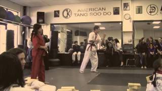 How To Break A Board - Louisa Tampi - Tang Soo Do