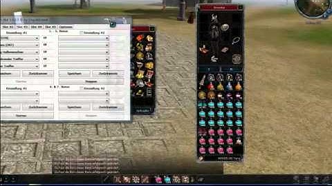 Metin2 NewMetin Switchbot