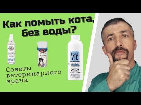 Сухие шампуни для кошек