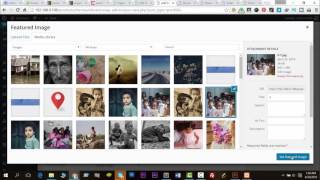Elevation Theme Portfolio Post Type